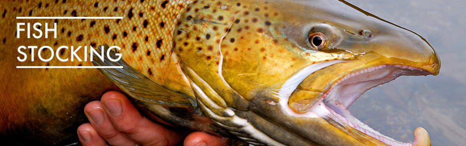 Fish Stocking Consultation and Trout Stocking Services ...
